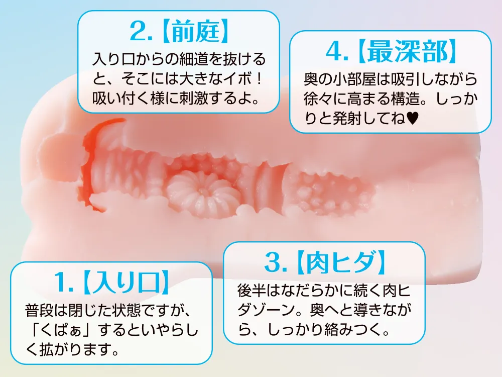詳細画像2